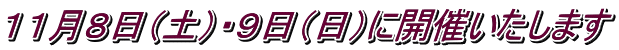 PPWiyjEXijɊJÂ܂