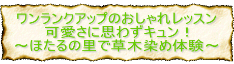 NAbv̂ꃌbX Ɏv킸LI `ق̗őؐߑ̌?