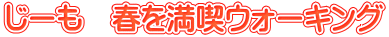 じーも 春を満喫ウォーキング
