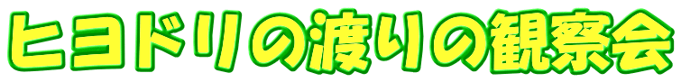 ヒヨドリの渡りの観察会