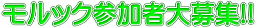 モルック参加者大募集!!